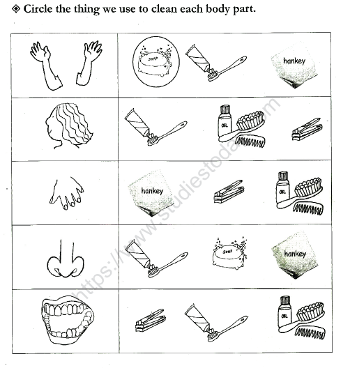 circle the body parts worksheet free body parts worksheets for